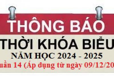 Thời khóa biểu từ tuần 14 năm học 2024 – 2025